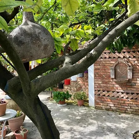 Apartamento Muzhaqi *