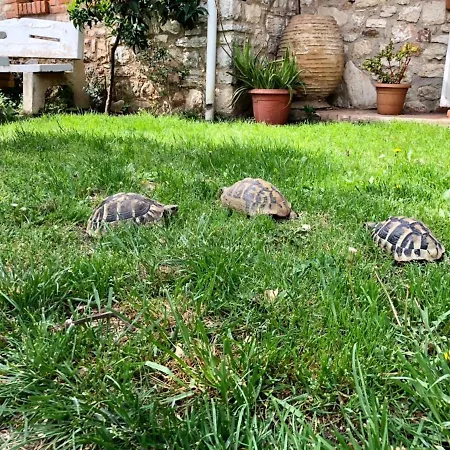 Muzhaqi Appartement Nivice (Vlore)