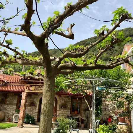 Apartamento Muzhaqi