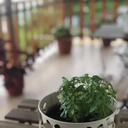 Muzhaqi Apartamento