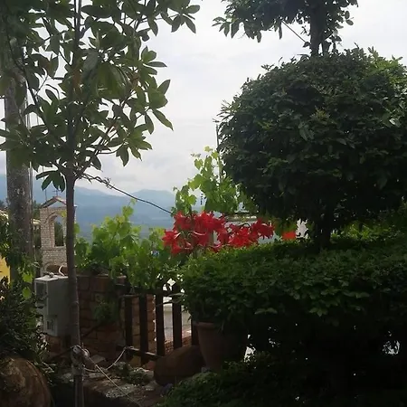Muzhaqi Apartamento *