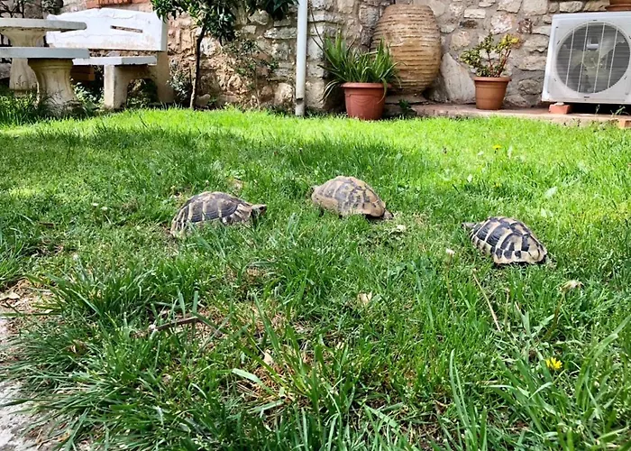 Muzhaqi 公寓 Nivice (Vlore)