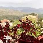 Muzhaqi